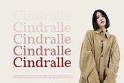 Red Carpet - Serif Font, a Serif Font by Alpaprana (Thumbnail 4 of 10)