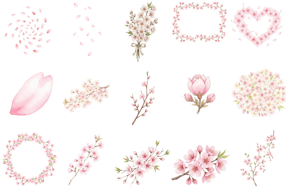 Watercolor Sakura Blossoms Clipart, an Illustration by Designking (Photo 3 of 5)