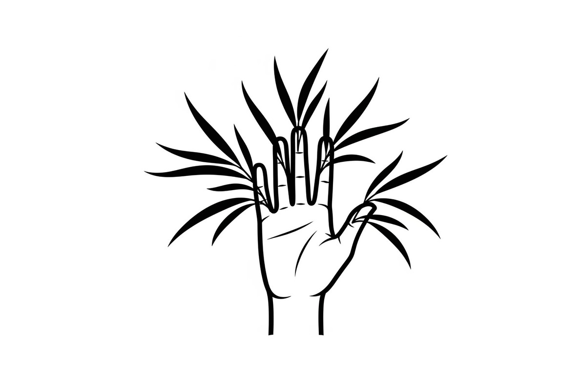 Hand Plant Growth Bundle, an Illustration by yasushie (Photo 26 of 31)