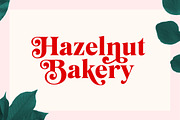 Mogan Serif Font + Extras, a Font by Heritage Type Co. (Thumbnail 2 of 16)