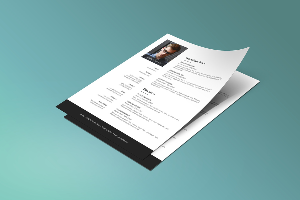 Portfolio Resume Kit, a Resume Template by retrographix (Photo 3 of 6)