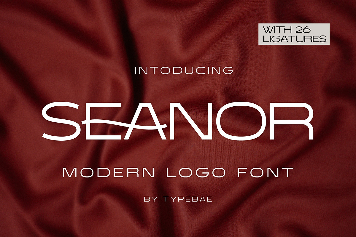 Seanor - Modern Logo Font, a Sans Serif Font by Typebae (Photo 1 of 8)