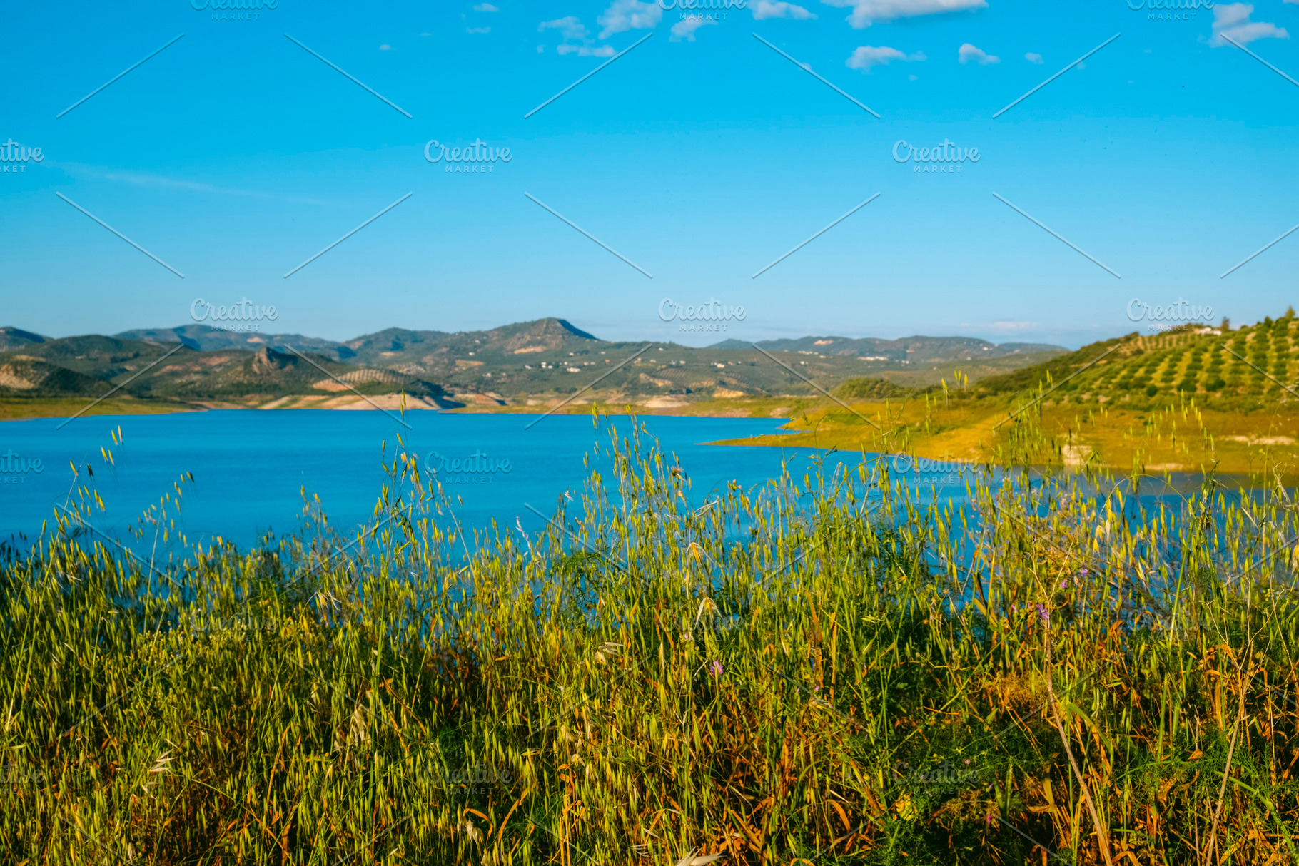 Iznajar reservoir, in the province of Cordoba, a Photo by Nito
