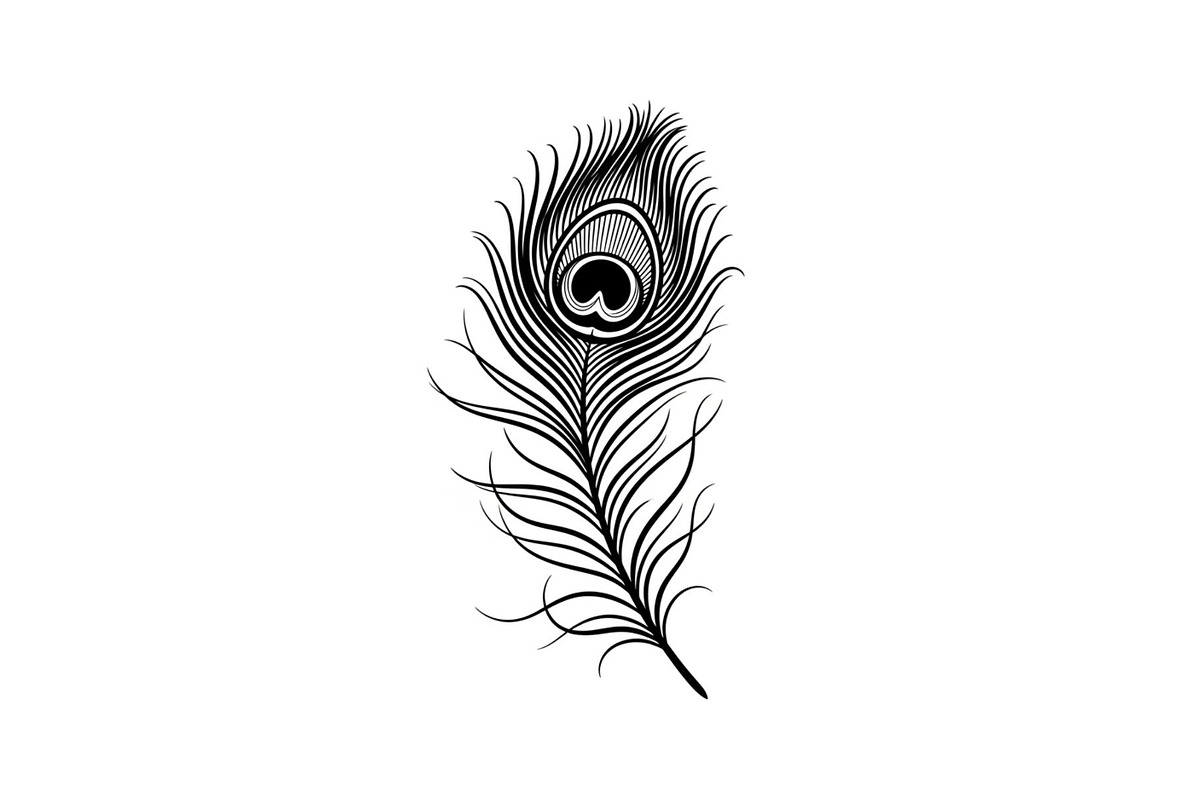 Peacock Feather Silhouette Bundle, an Illustration by jahid234 (Photo 14 of 31)