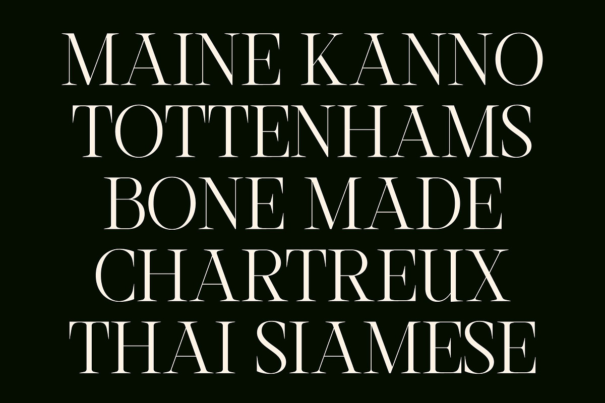 CS Anstey – Elegant Serif Font, a Serif Font by Craft Supply Co. (Photo 4 of 8)