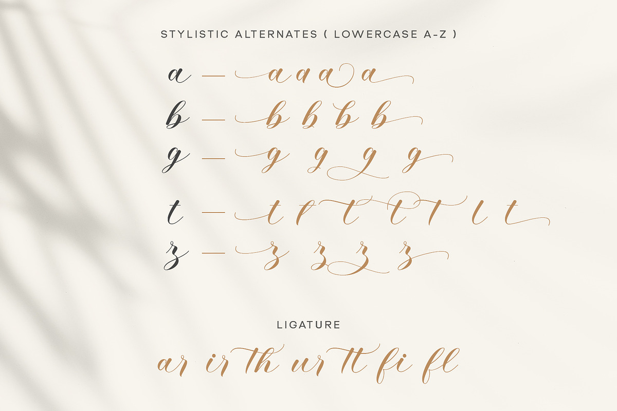 Alyusa - a modern calligraphy script, a Script Font by Siwox Studios (Photo 8 of 9)