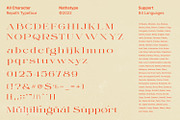 Repath, a Serif Font by Nathatype (Thumbnail 9 of 10)