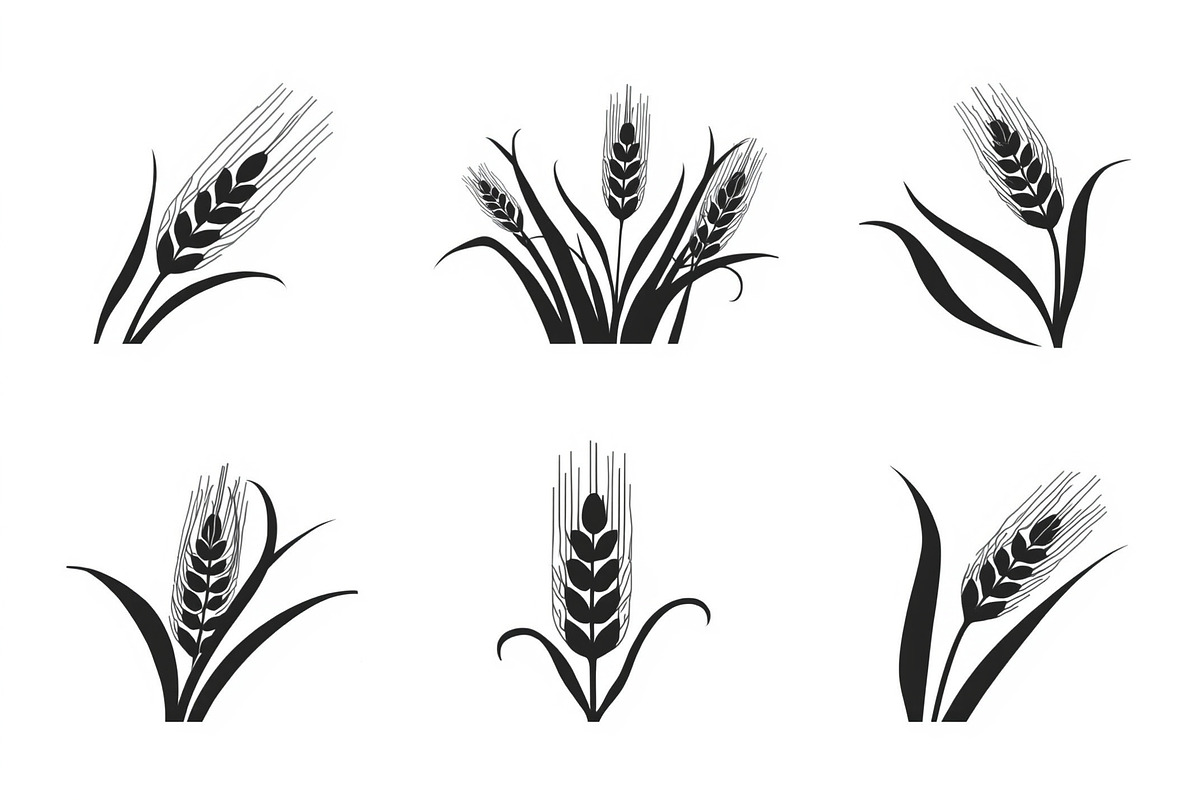 Rustic Wheat Silhouette Design, an Illustration by hafijul (Photo 3 of 9)