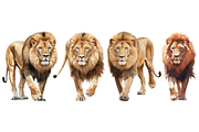 Individual Big Cats Bundle of 24, a Graphic by Jay Major Designs (Thumbnail 2 of 7)