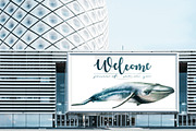 Whale, animals wildlife, an Animal Illustration by Allween (Thumbnail 3 of 6)