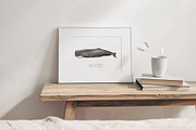 Watercolor Whales. Ocean animals set, an Animal Illustration by Diana Askarova Art (Thumbnail 3 of 7)