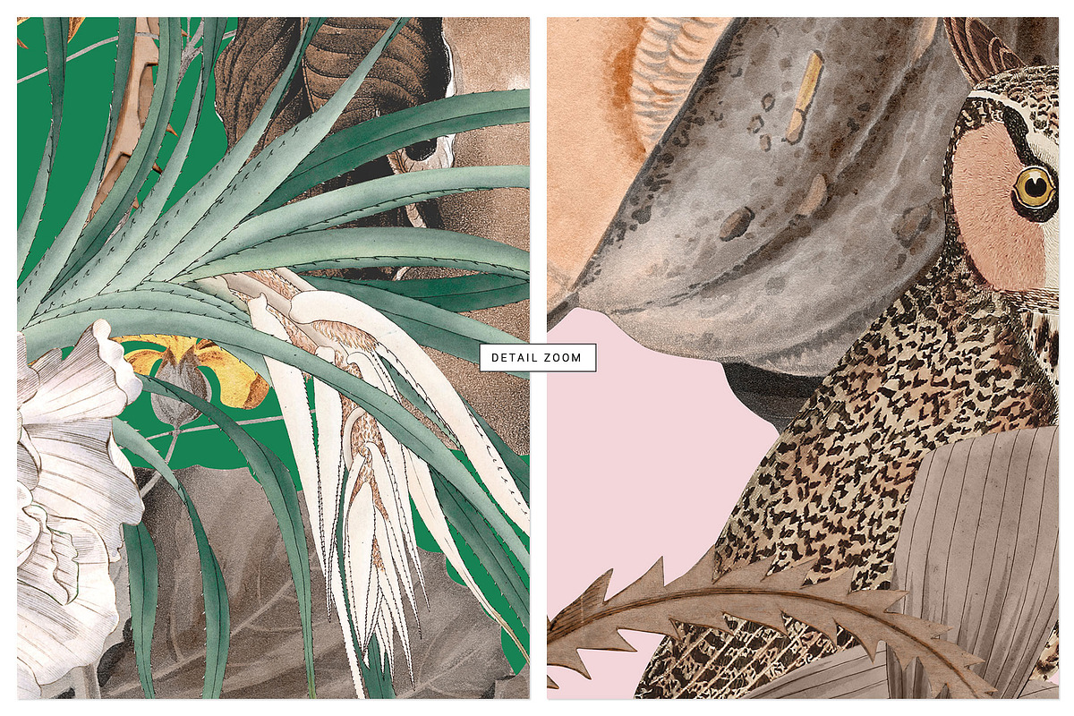Autumn Owl Botanical Pattern & Motif, a Pattern Graphic by Pink Linen (Photo 6 of 12)