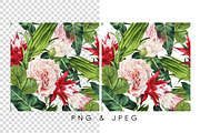 Seamless tropical patterns, a Pattern Graphic by ollalya (Thumbnail 2 of 17)