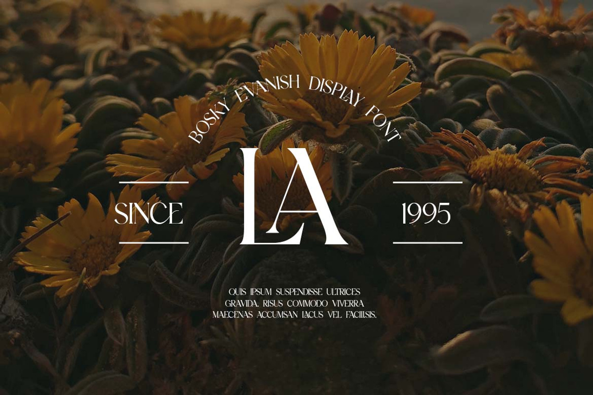 Blockstone Modern Display Serif Font, a Serif Font by UICreative (Photo 12 of 13)