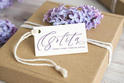 Betany Katepia Beauty Calligraphy, a Script Font by stylishtype.co (Thumbnail 13 of 20)