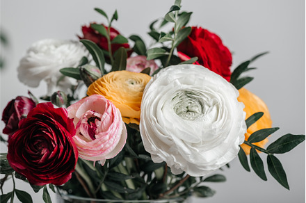 Floral arrangments of tender, a Nature Photo by MAnuta