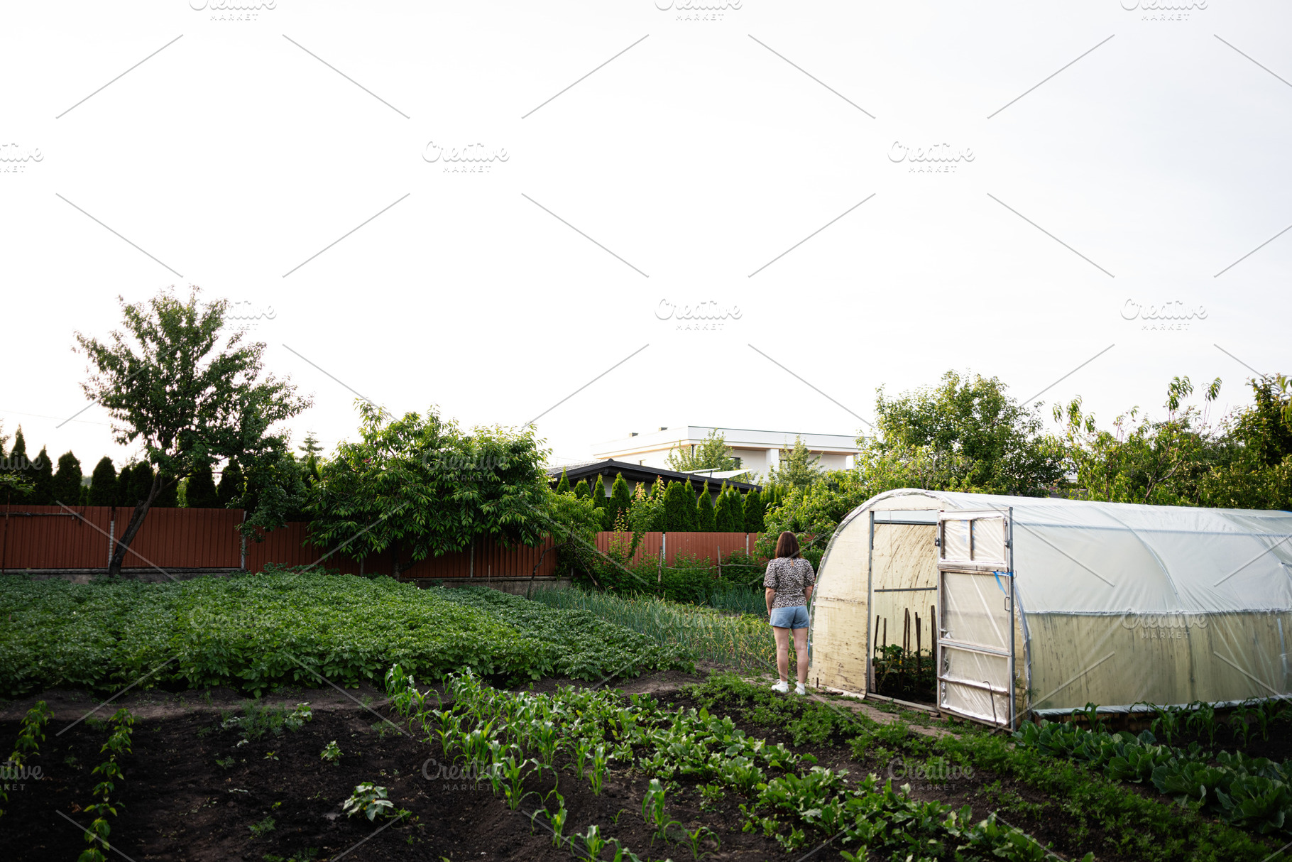 A woman walking beside a greenhouse on a lush vegetable farm, a Person Photo by AS photostudio