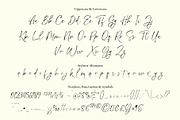 Handsome Lasting Script, a Script Font by moriztype (Thumbnail 8 of 14)