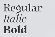Quietism High font, a Serif Font by Michael Rafailyk (Thumbnail 6 of 8)