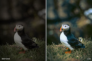 15 Leica Lightroom Presets, a Preset Add-On by Lavinsky Art Store (Thumbnail 9 of 16)