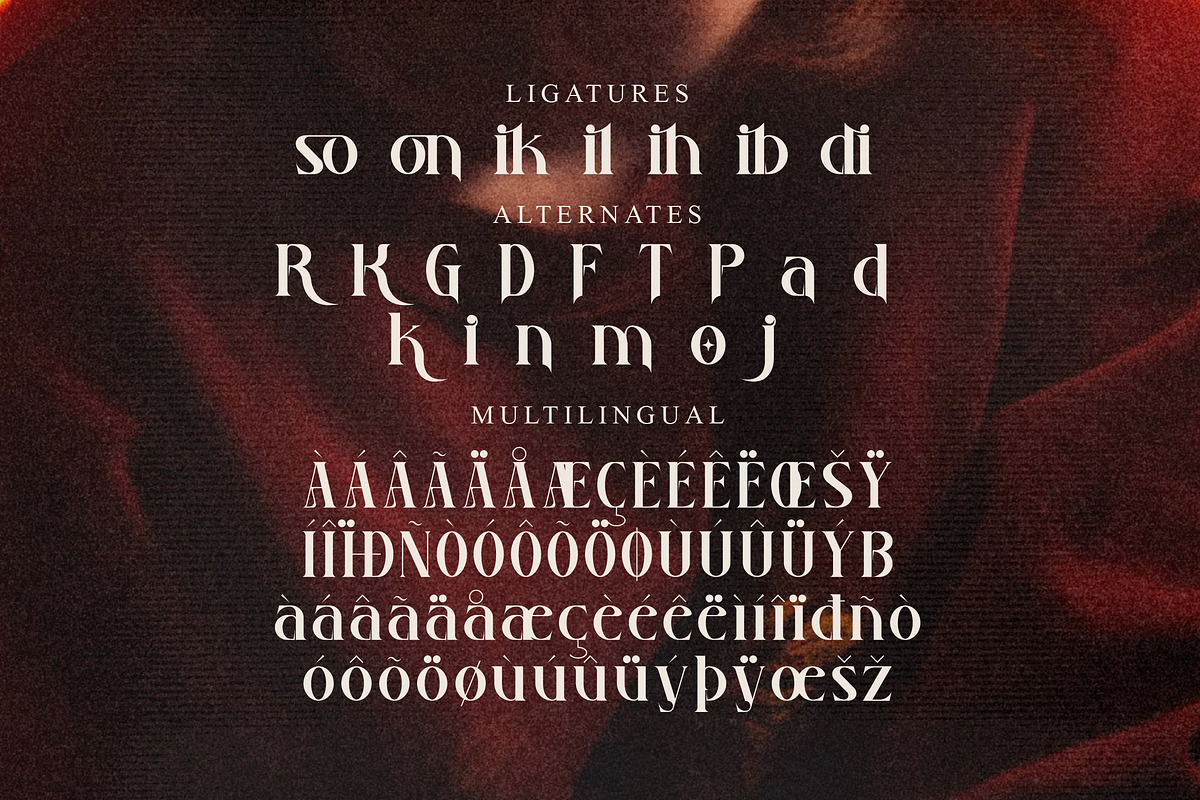 Ruadson Modern Serif Font, a Serif Font by Storytype Studio (Photo 14 of 15)