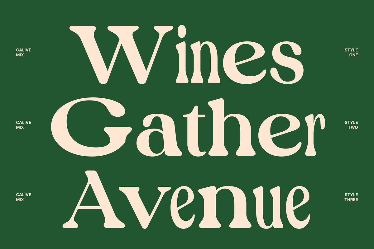 Calive Mix, a Sans Serif Font by Craft Supply Co. (Photo 3 of 8)