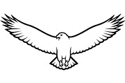Forest Sky Birds Illustration Vector, an Animal Illustration by Designer_Momina (Thumbnail 5 of 21)