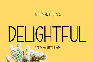 Delightful - Sans Serif Font