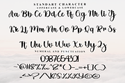 Birthday Wonderful, a Handwritten Font by FreshTypeINK (Thumbnail 4 of 8)