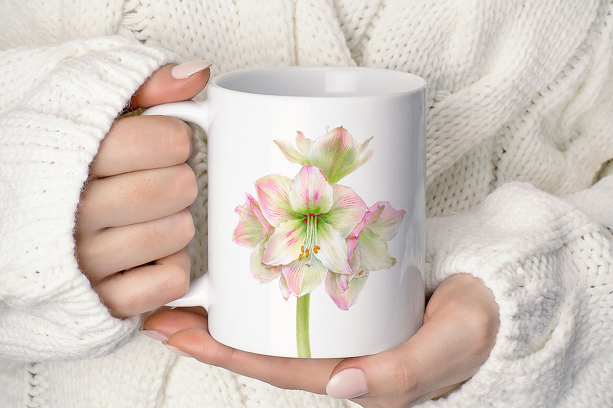 Botanical art - amarillis flowers, an Object Graphic by ViktoriArt (Photo 9 of 14)