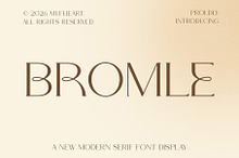 Bromle - New Modern Serif Font