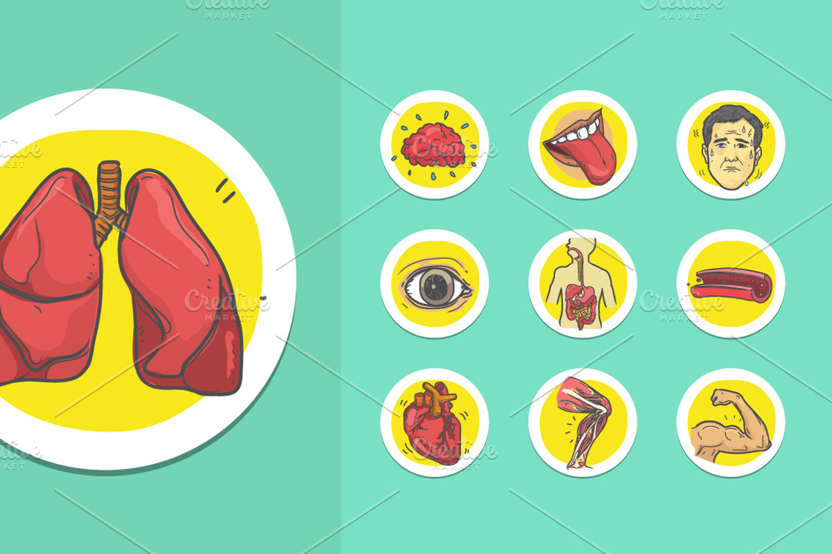 Human Organs Affected by Stress, an Education Illustration by Rekanice (Photo 2 of 3)