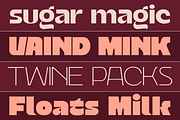 Vankis Font Family, a Sans Serif Font by zeenesia (Thumbnail 4 of 21)
