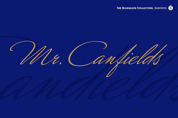 Mr Canfields Pro preview 7
