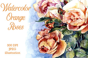 Watercolor orange roses illustration