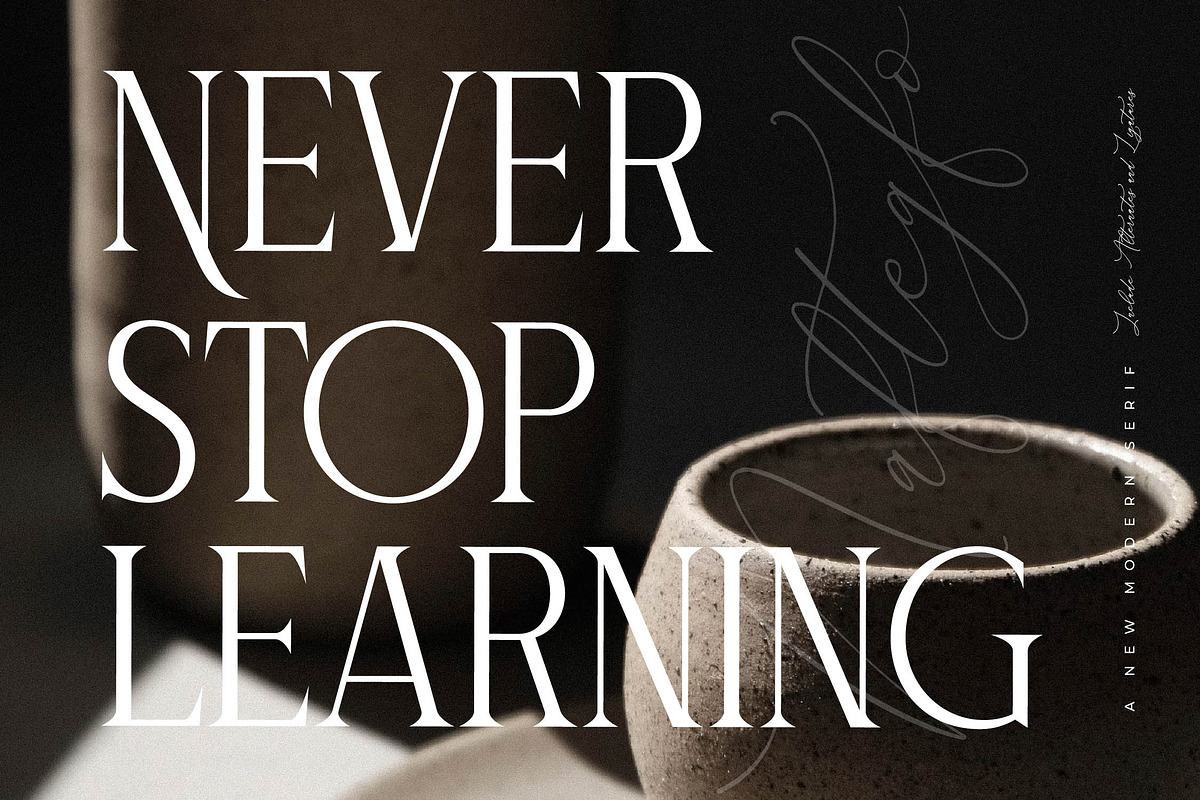 Naftegfo A New Modern Serif, a Serif Font by Storytype Studio (Photo 3 of 15)
