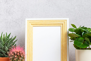 Decorative plants and empty frame on wooden shelf, a Nature Photo by Olena Rudo