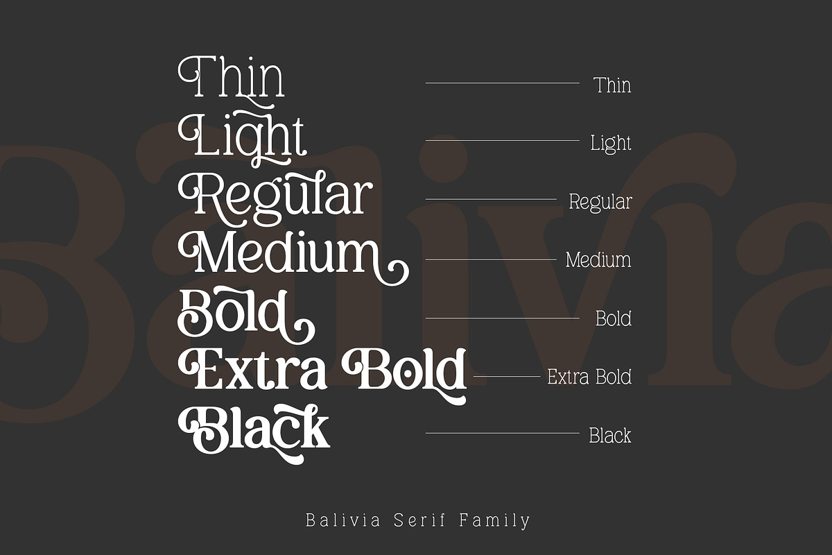 Balivia - Bold Serif Family, a Serif Font by Ardyanatypes (Photo 7 of 12)