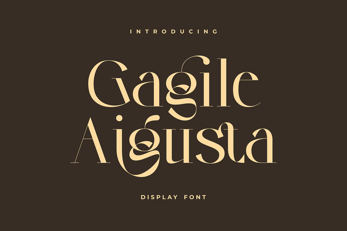 Gagile Aigusta - Modern Display Font, a Serif Font by Zakazis (Photo 1 of 6)