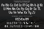 SWEET CHUBBY, a Sans Serif Font by FreshTypeINK (Thumbnail 2 of 8)