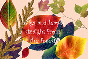 Dried Herbarium Thanksgiving leaves, an Animal Illustration by NataLyaroArt (Thumbnail 12 of 13)