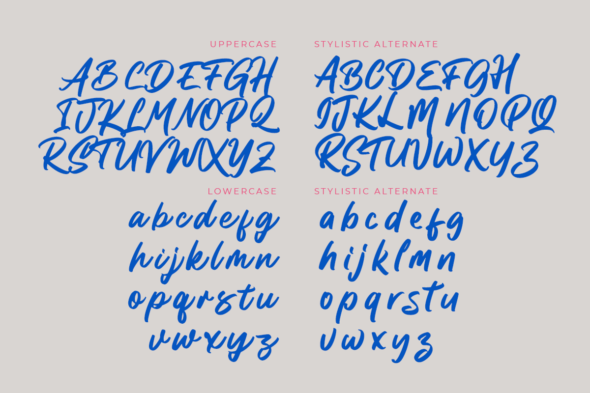 Karl Sirka, a Script Font by Colllab Studio (Photo 15 of 18)