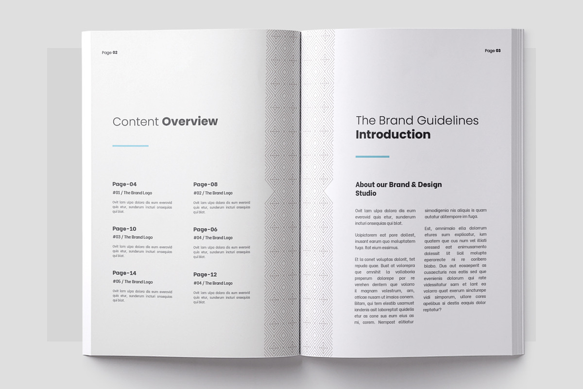 Brand Guidelines, Brand Style Guide, a Brochure Template by Niofix (Photo 2 of 6)