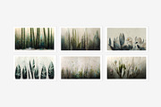 Lyba Collection · Botanical Wall, a Texture Illustration by milatovar (Thumbnail 12 of 13)