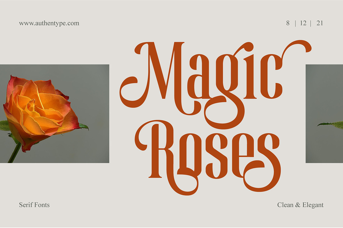 Magic Roses - Serif Clean Elegant, a Serif Font by AuthenType (Photo 1 of 15)