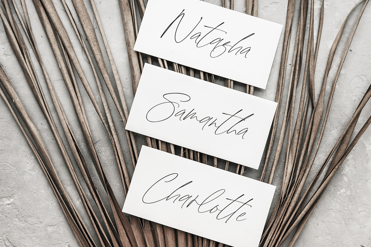 South Glow | Casual Chic Calligraphy, a Script Font by Pink Coffie (Photo 5 of 16)