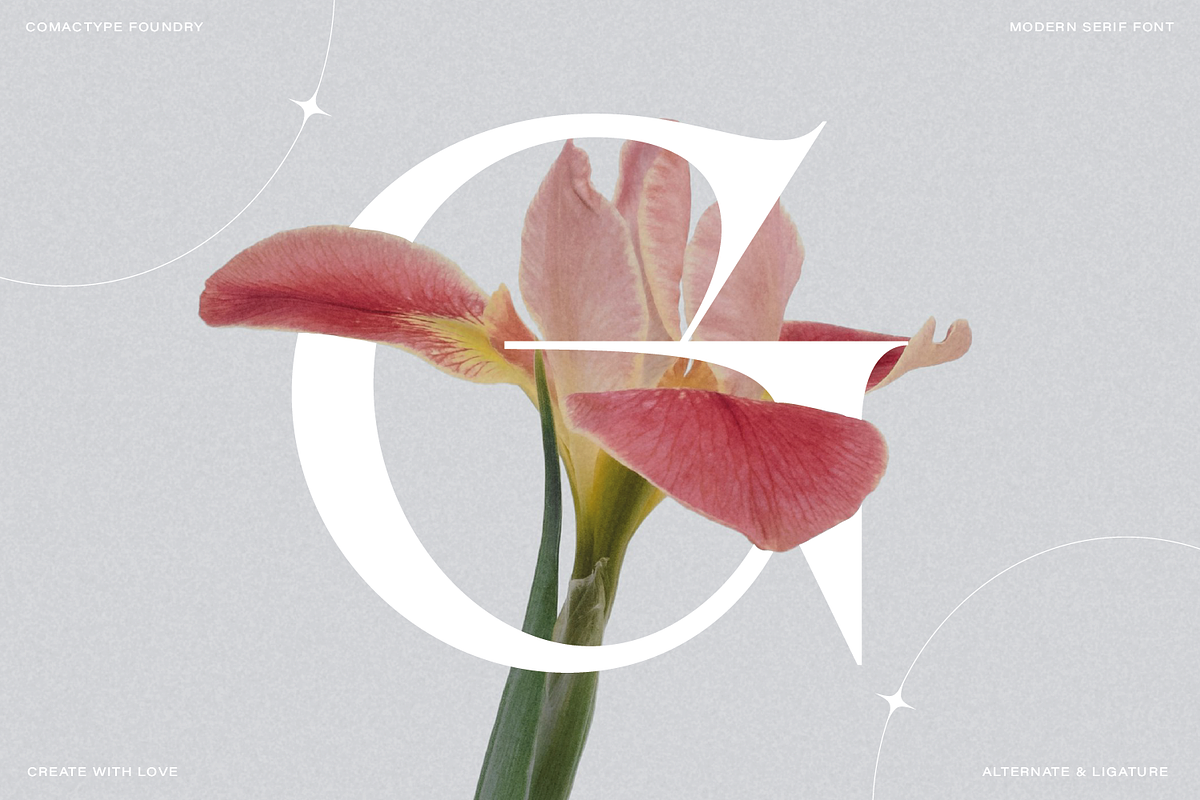 Alverich - Modern Serif Font, a Serif Font by Comactype Foundry (Photo 6 of 22)