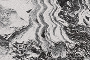 Twisted by Nature Vol 3, a Texture Graphic by Jennifer Lauren Creative (Thumbnail 14 of 16)