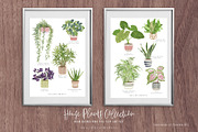 House Plants Collection Set II, a Graphic by SmallHouseBigPony (Thumbnail 2 of 21)