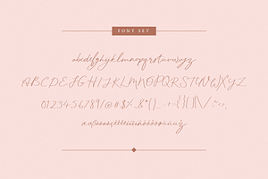 Bloomday Script Font